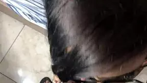Shy Asian sluts share a man